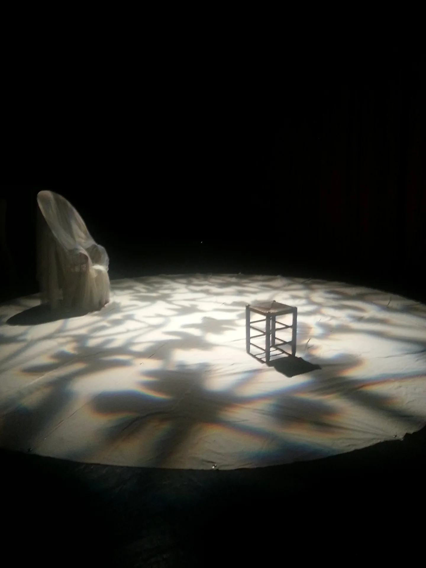La oropéndola (2016) — Teatro del Gato La oropéndola (2016), obra de Miguel Romero Esteo — fotografía de la producción teatral de Teatro del Gato, compañía de teatro contemporáneo en Málaga (imagen 5 de 5)