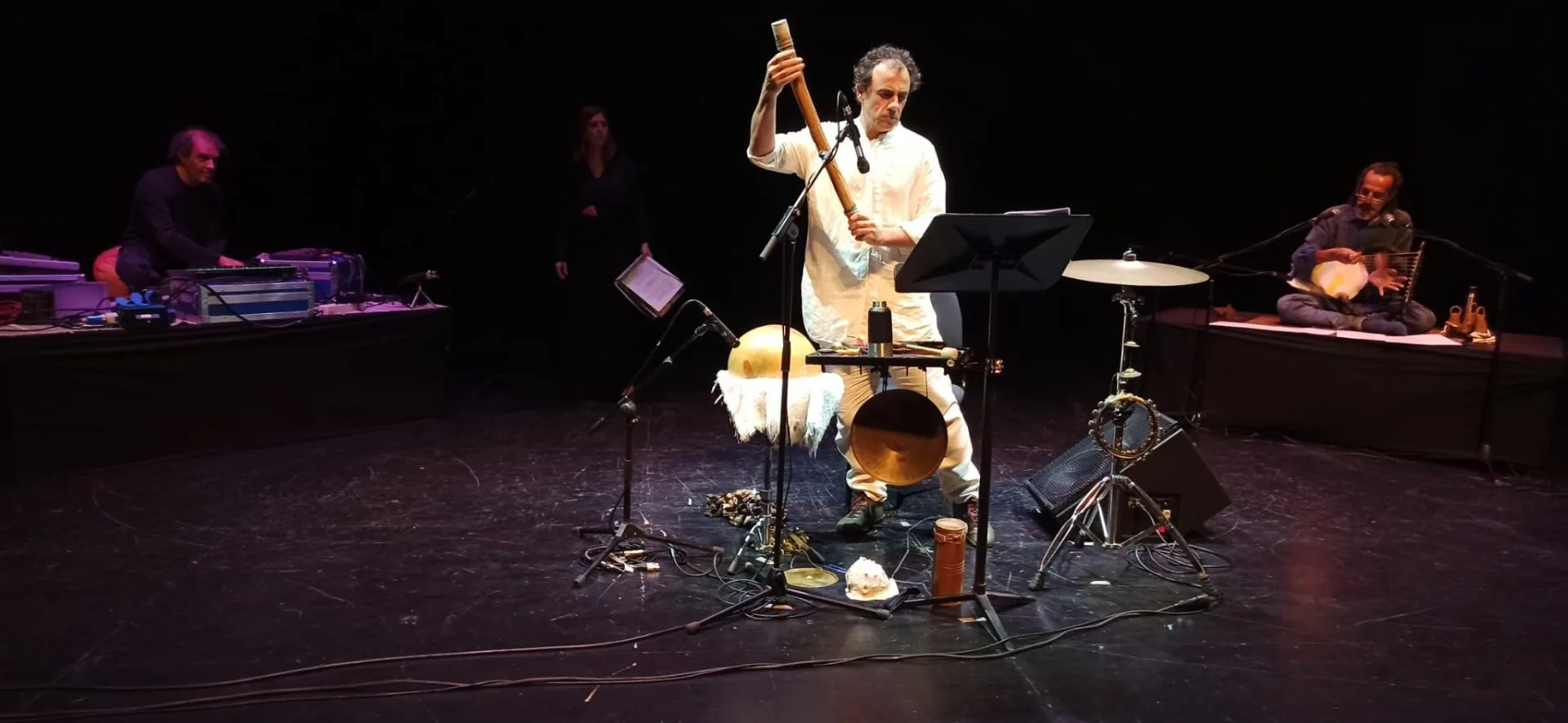 Concierto Fusión Tartessos (2018) — Teatro del Gato Concierto Fusión Tartessos (2018), obra de Miguel Romero Esteo — fotografía de la producción teatral de Teatro del Gato, compañía de teatro contemporáneo en Málaga (imagen 1 de 2)